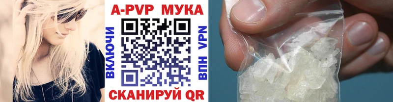 А ПВП крисы CK Купить где Пионерский