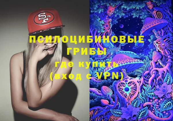 дживик Куйбышев