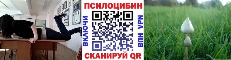 Псилоцибиновые грибы прущие грибы  Купить  Пионерский 